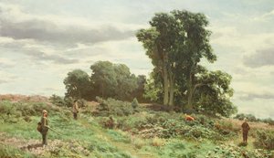 The Forest of Meiklour, Perthshire